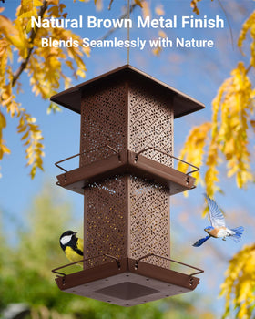 HouseSapp top-lock design reduces seed pilferage and waste.