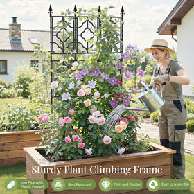 Bottom pointed-tip anchors secure trellis firmly in soil