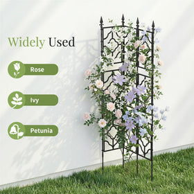 Trellis ideal for stringing fairy lights for garden ambience