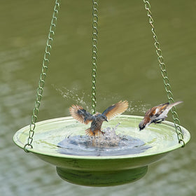 HOUYANG large capacity bowl supports long bird visits.
