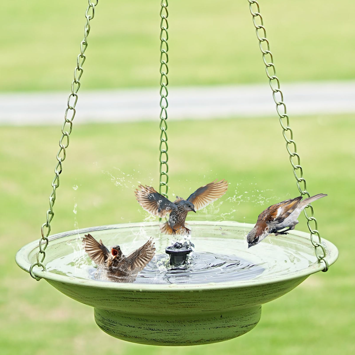 HOUYANG solar bubbler bird bath hanging in sun for continuous water flow.