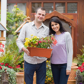 HOXHA complete gardening solution for beginners and balcony growers.