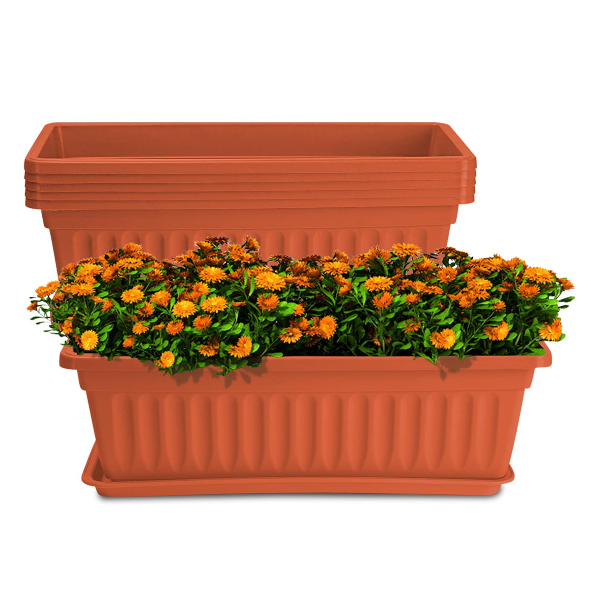 HOXHA window box planter 6-pack on a bright sill, ideal for seasonal herb growing.