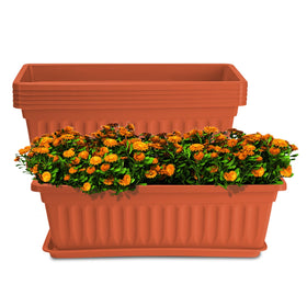 HOXHA window box planter 6-pack on a bright sill, ideal for seasonal herb growing.