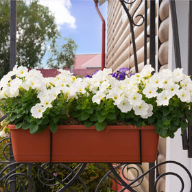 HOXHA window box planter 17-inch size fits balcony, patio, and kitchen windows.