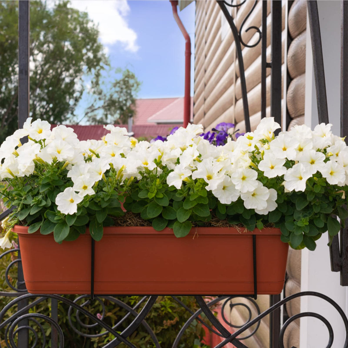 HOXHA Window Box Planter is great for vegetables, herbs, and blooms.