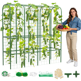 Hoyejyou 62 inch cucumber trellis arches for upright growth and easy cucumber support.