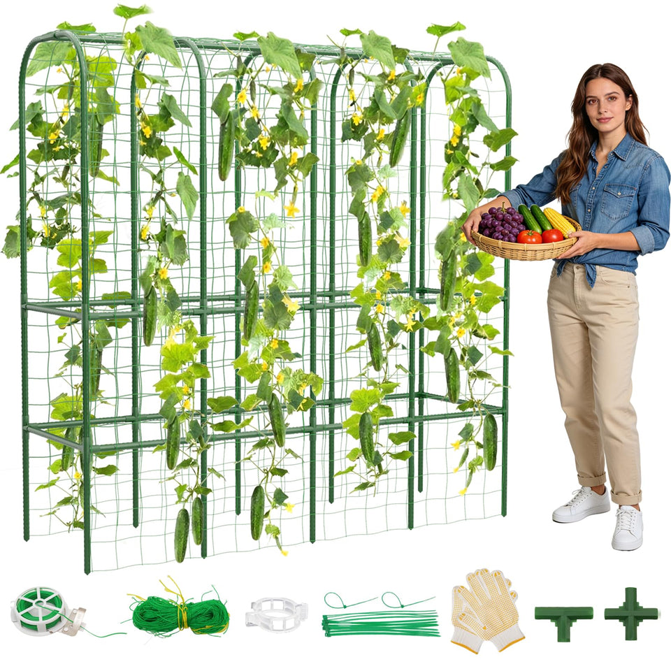 Hoyejyou 62 inch cucumber trellis arches for upright growth and easy cucumber support.