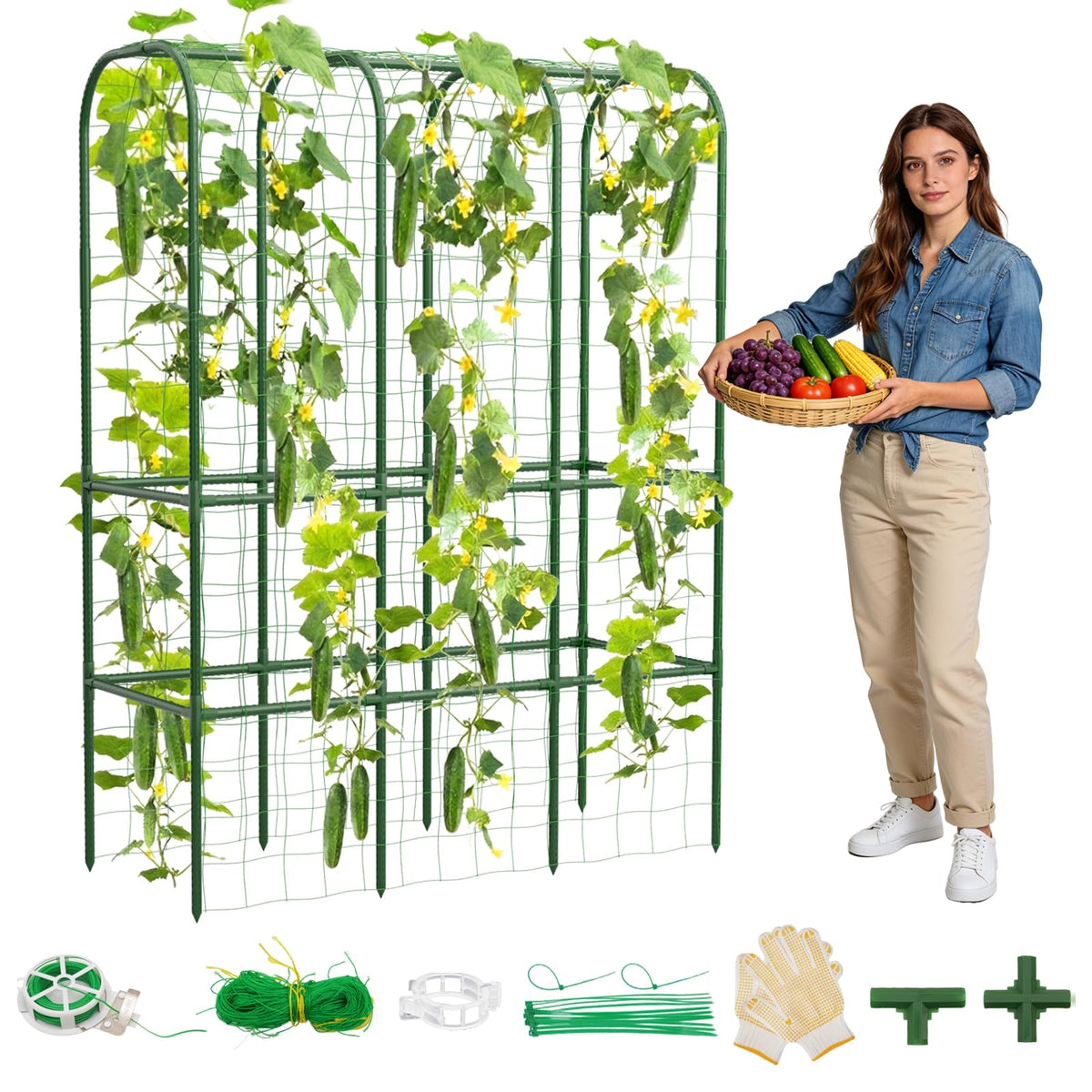 Hoyejyou 62-inch cucumber trellis arch supports cucumbers and climbers for better light exposure.