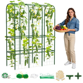 Hoyejyou 62-inch cucumber trellis arch supports cucumbers and climbers for better light exposure.