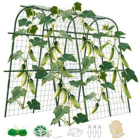 Hoyejyou 65x48 cucumber trellis arch supports climbing cucumbers for neater garden rows.