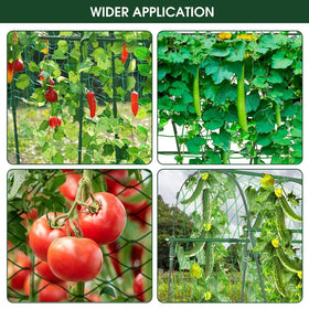 Hoyejyou 65-inch tall trellis assists vertical growth of vegetables.