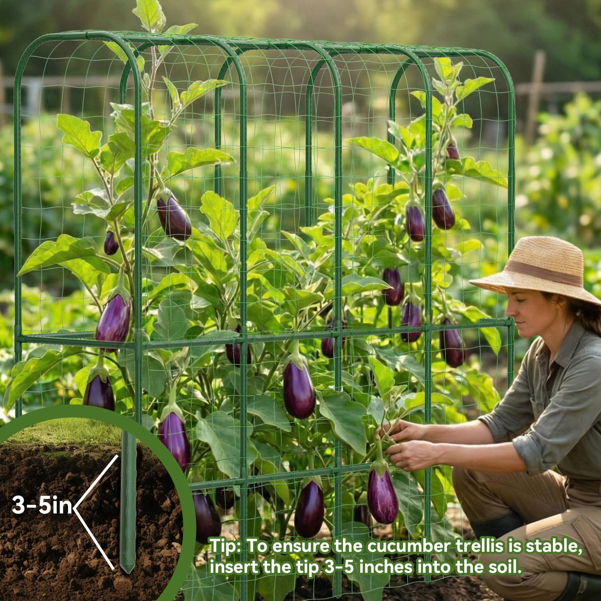 Hoyejyou included hardware aids flexible height adjustment for plants.