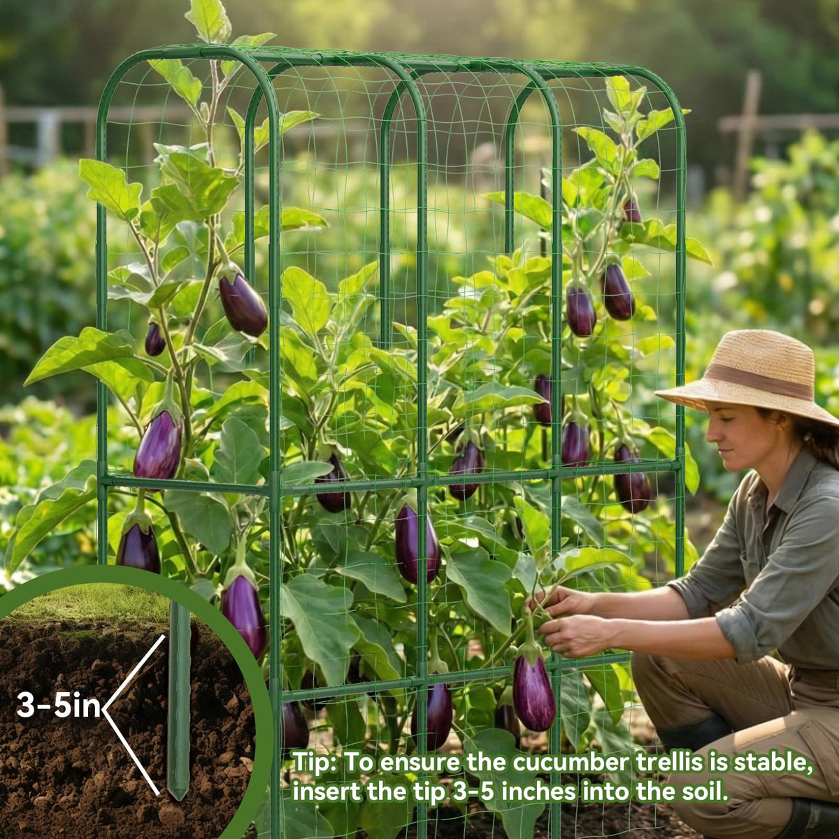 Hoyejyou trellis netting included offers versatile plant training.