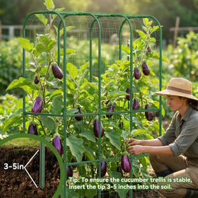 Hoyejyou trellis netting included offers versatile plant training.