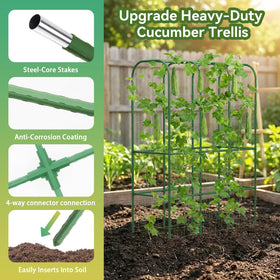 Hoyejyou u-shape plant support keeps vines organized and space-efficient.