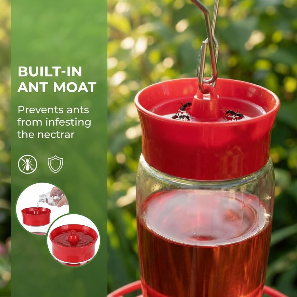 Hpewi hummingbird feeder ant moat blocks ants from nectar during outdoor use