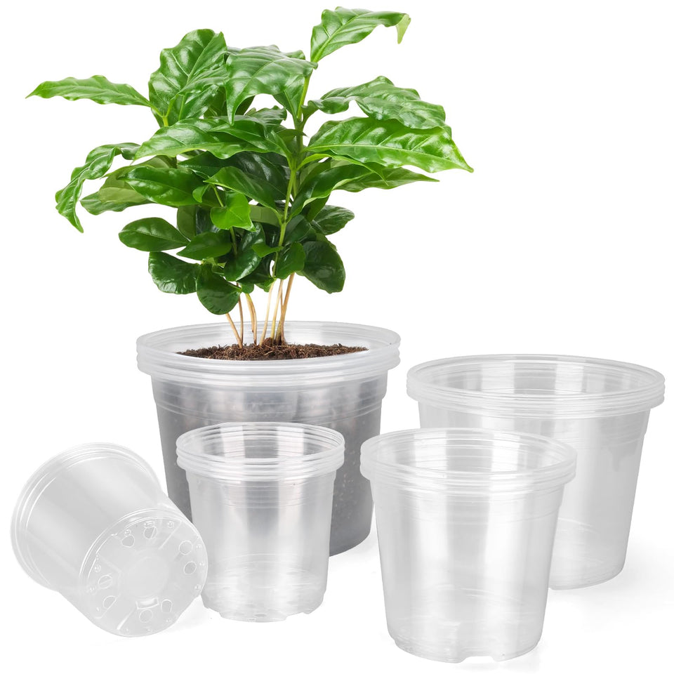 HQAUT 10-inch clear nursery pot with drainage holes for healthier seedlings