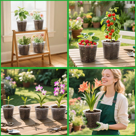 HQAUT 16-pack clear plant pots set for versatile indoor outdoor gardening