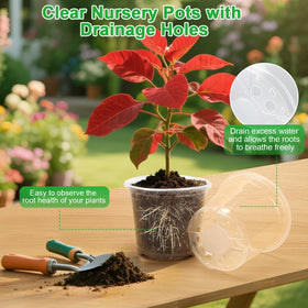 HQAUT 6-inch clear nursery pot ideal for mid-size plants and cuttings