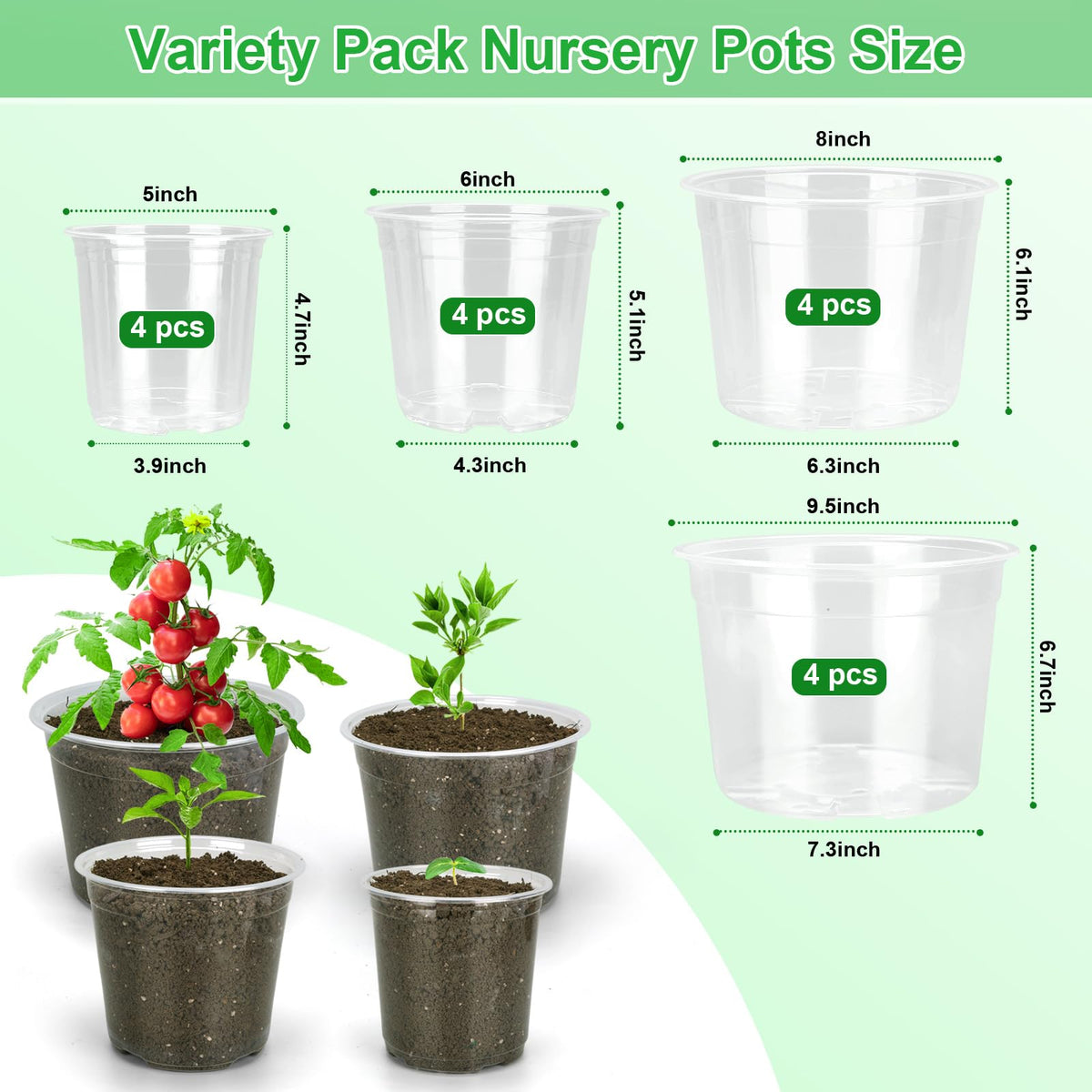 HQAUT 8-inch clear nursery pot with transparent walls for root visibility