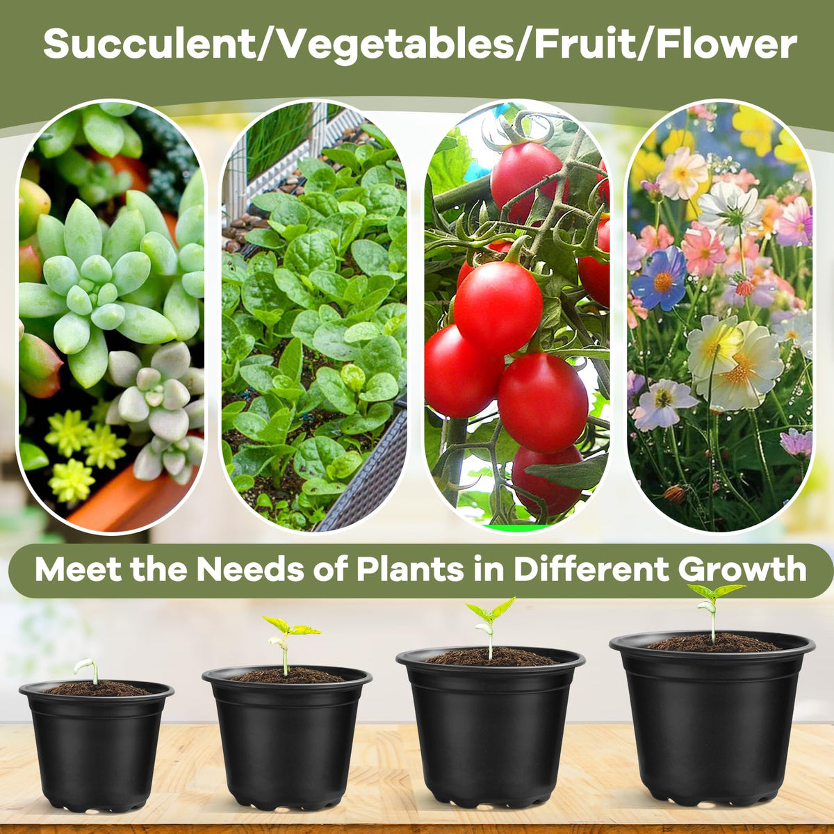 HQAUT nursery pot ideal for succulents and cuttings propagation.