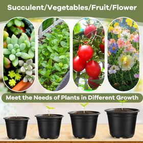 HQAUT nursery pot ideal for succulents and cuttings propagation.