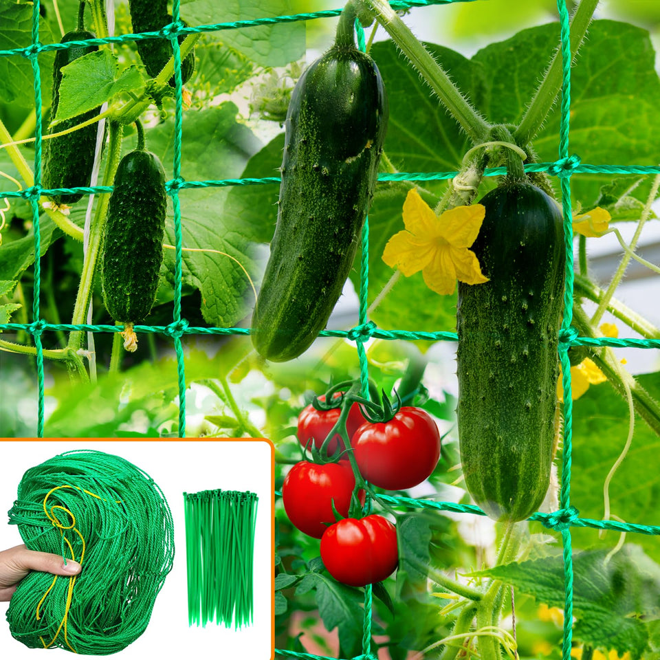 H.Romo trellis netting setup for outdoor climbing crops and garden use