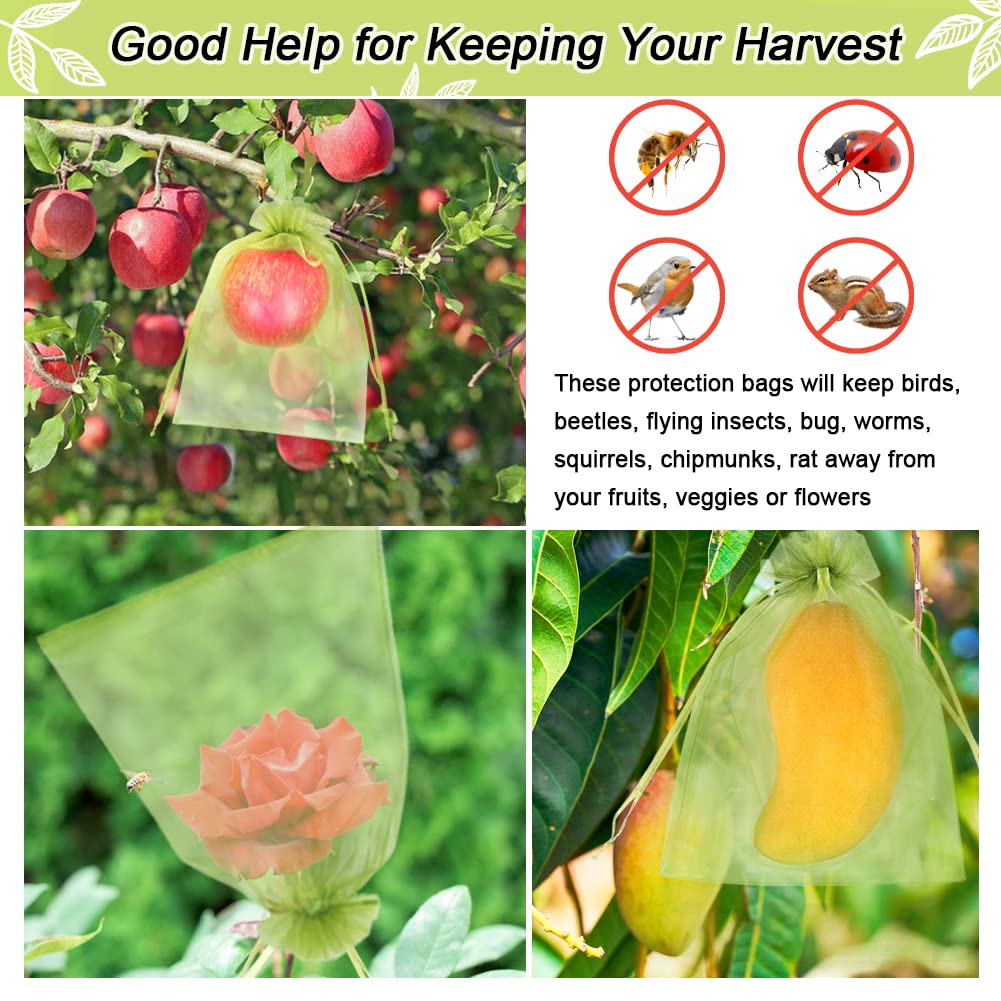 HRX Package harvest protection bag setup shows versatile use across mangoes, tomatoes, and more.