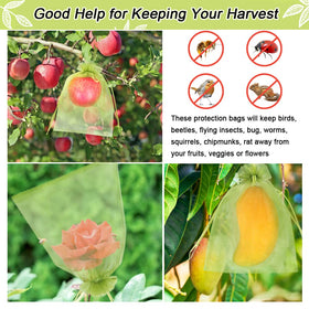 HRX Package harvest protection bag setup shows versatile use across mangoes, tomatoes, and more.