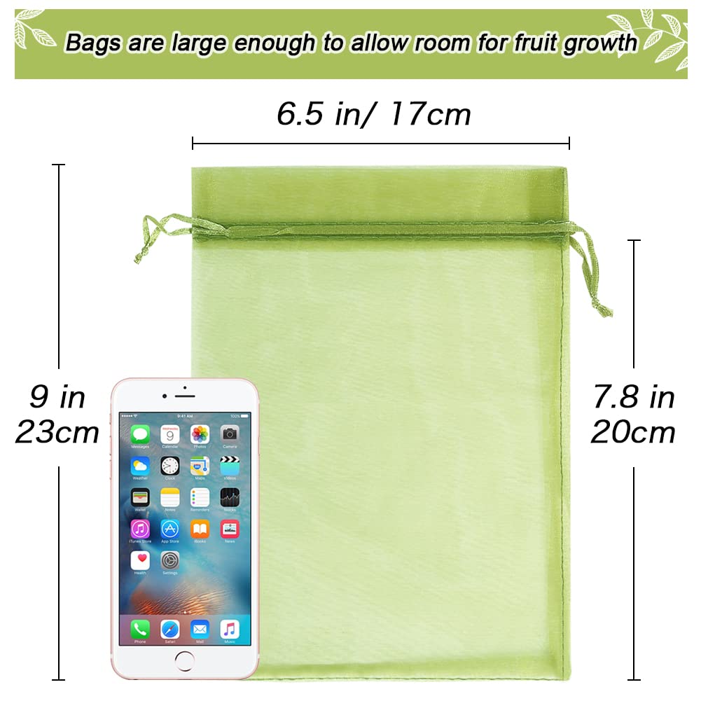 HRX Package mango protection bag on tree protects fruit from birds and pests while growing.