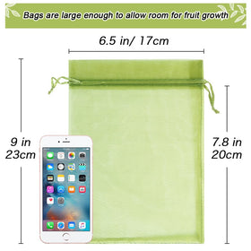 HRX Package mango protection bag on tree protects fruit from birds and pests while growing.