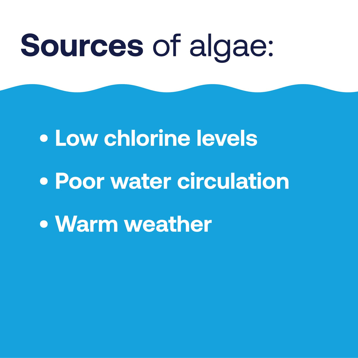 HTH Algae Guard Ultra deployed in pool usage for maintenance.