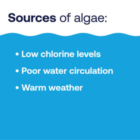 HTH Algae Guard Ultra deployed in pool usage for maintenance.