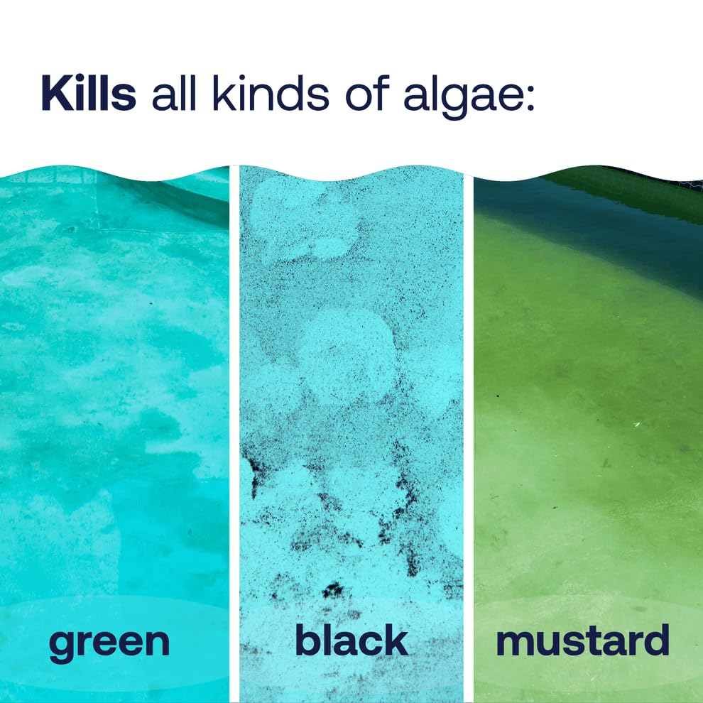 HTH Algae Guard Ultra in pool water scene demonstrates continuous algae control for green, black, and mustard blooms