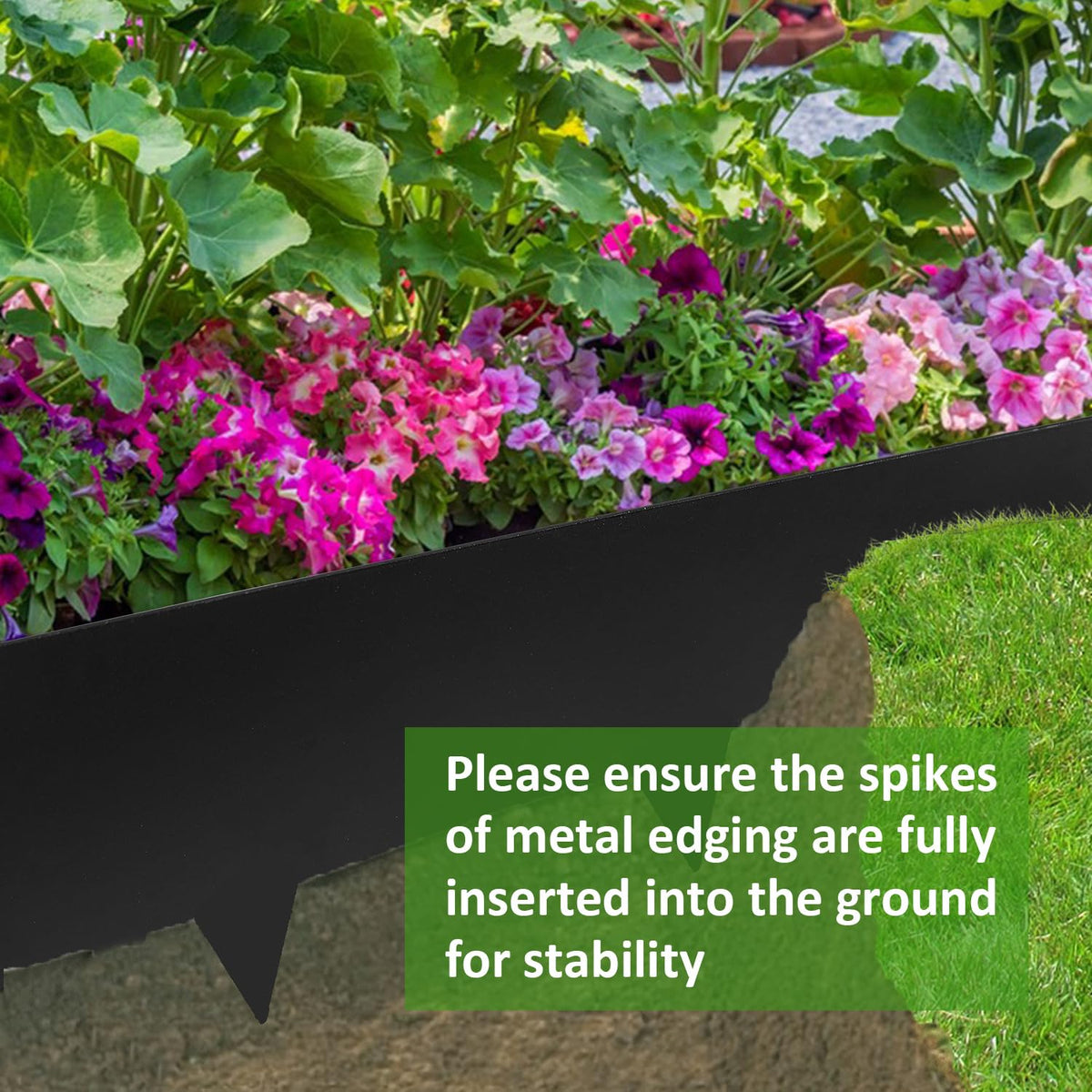 Hugeleaf lawn and path border edging clarifies borders for a neat landscape look.