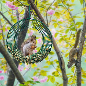 Hugeleaf garden-friendly feeder complements green spaces with bird-friendly décor.