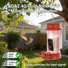 10 ft solar cable simplifies placement and steady outdoor power supply