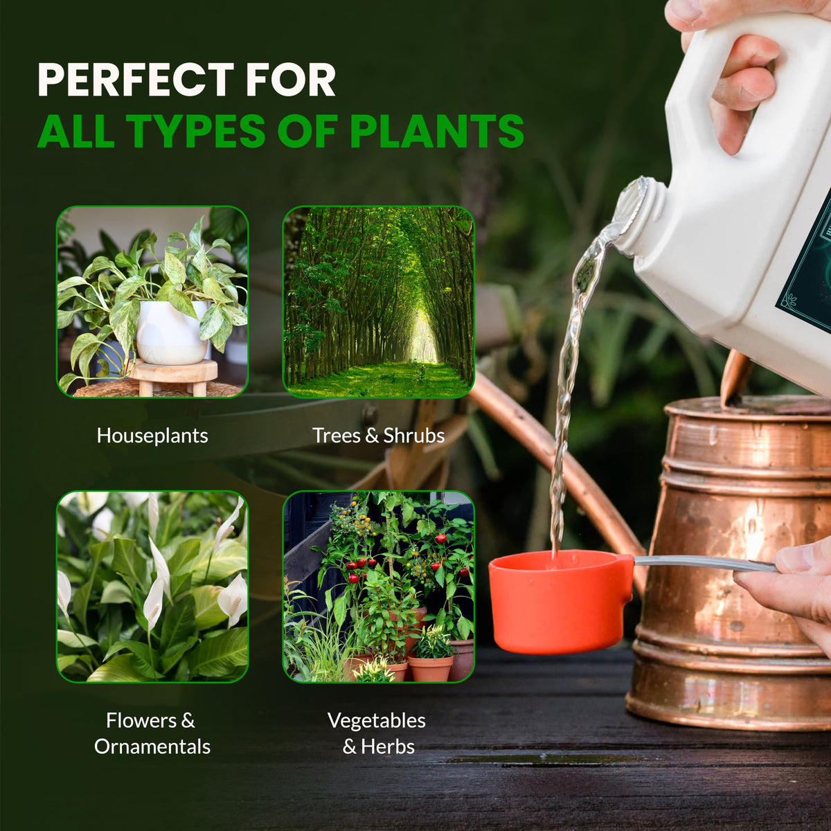 Base A & B supporting flowering stage with balanced nutrition