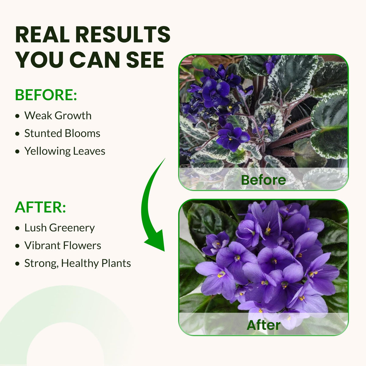 Base A & B used in a deep water culture system with leafy greens