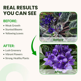 Base A & B used in a deep water culture system with leafy greens
