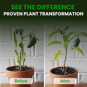 Humboldts Secret CalMag & Iron in soil context with thriving potted plants