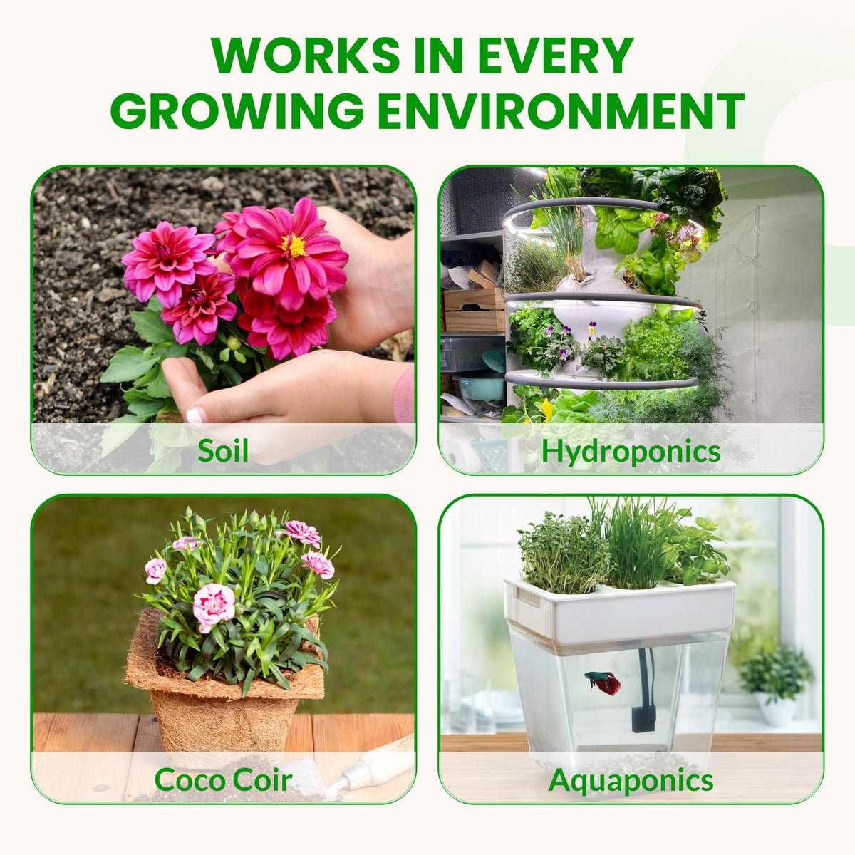 Healthy soil plants thriving after Flower Stacker application