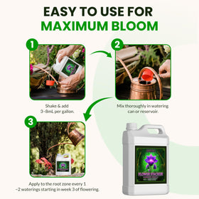 Humboldts Secret Flower Stacker bloom formation highlights dense budding potential.