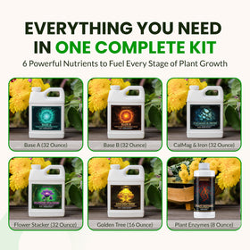 Humboldts Secret Golden Tree nutrient for robust vigor and color.
