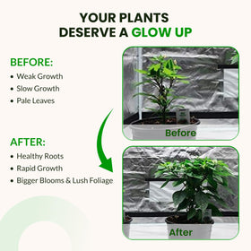 Humboldts Secret Indoor garden setup demonstrates versatile use in compact spaces.