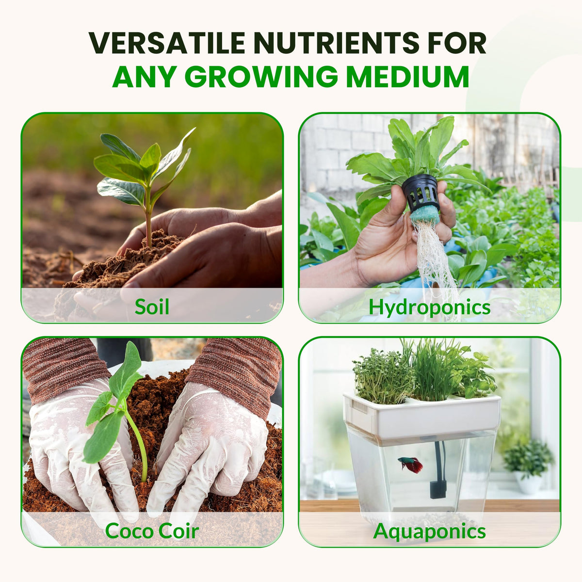 Humboldts Secret Plant Enzymes bottle aids nutrient breakdown and uptake.