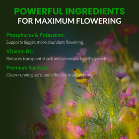 Humboldts Secret Flower Stacker in reservoir for hydroponics or coco