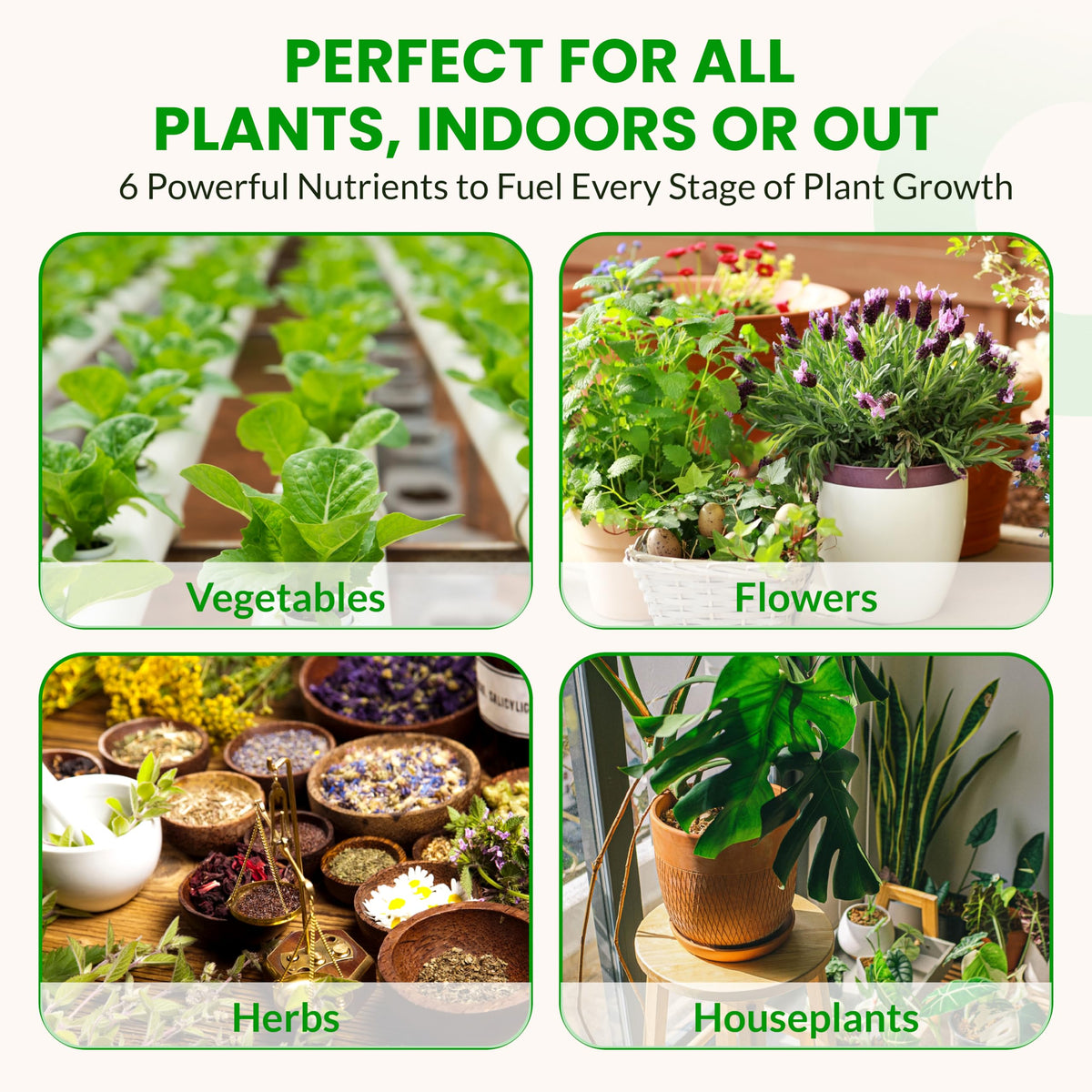 Humboldts Secret Starter Kit Pack front view shows complete garden system.