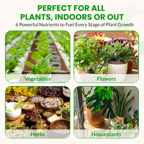 Humboldts Secret Starter Kit Pack front view shows complete garden system.